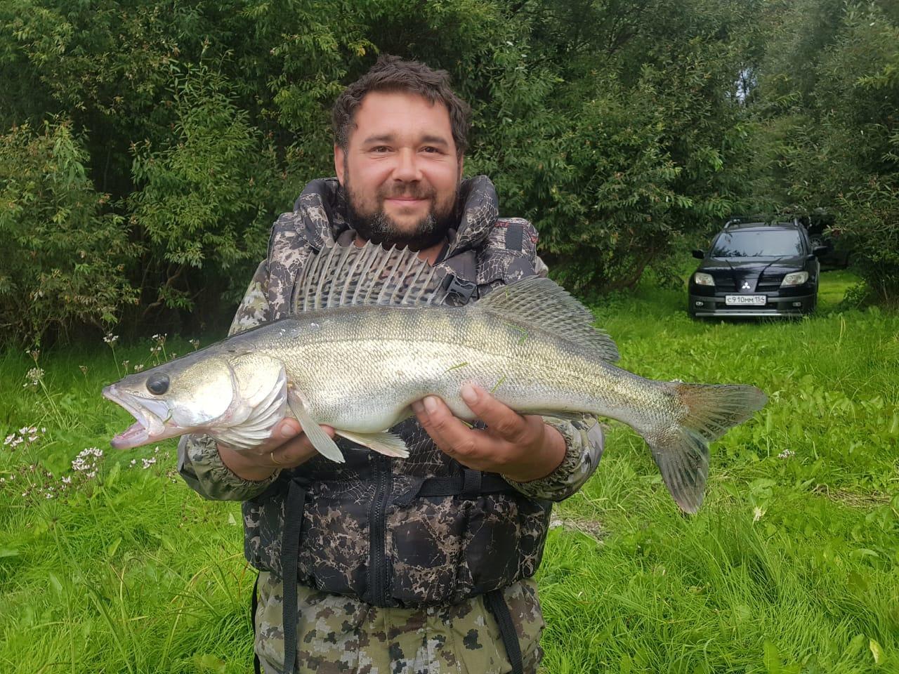 Фото Новосибирец поймал огромную щуку весом в 8,5 кг 2